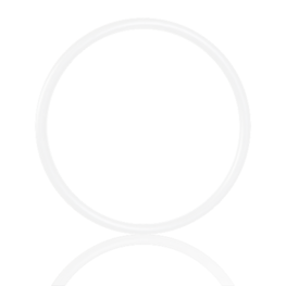 Oring z PTFE