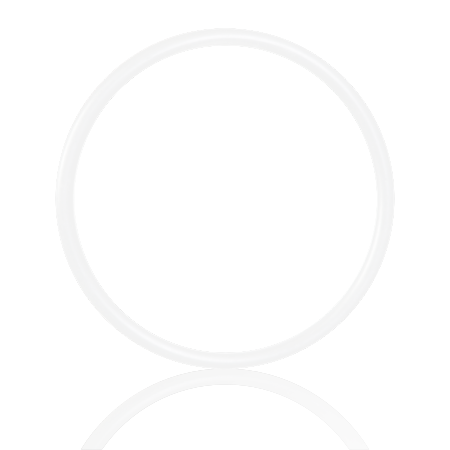 Oring z PTFE